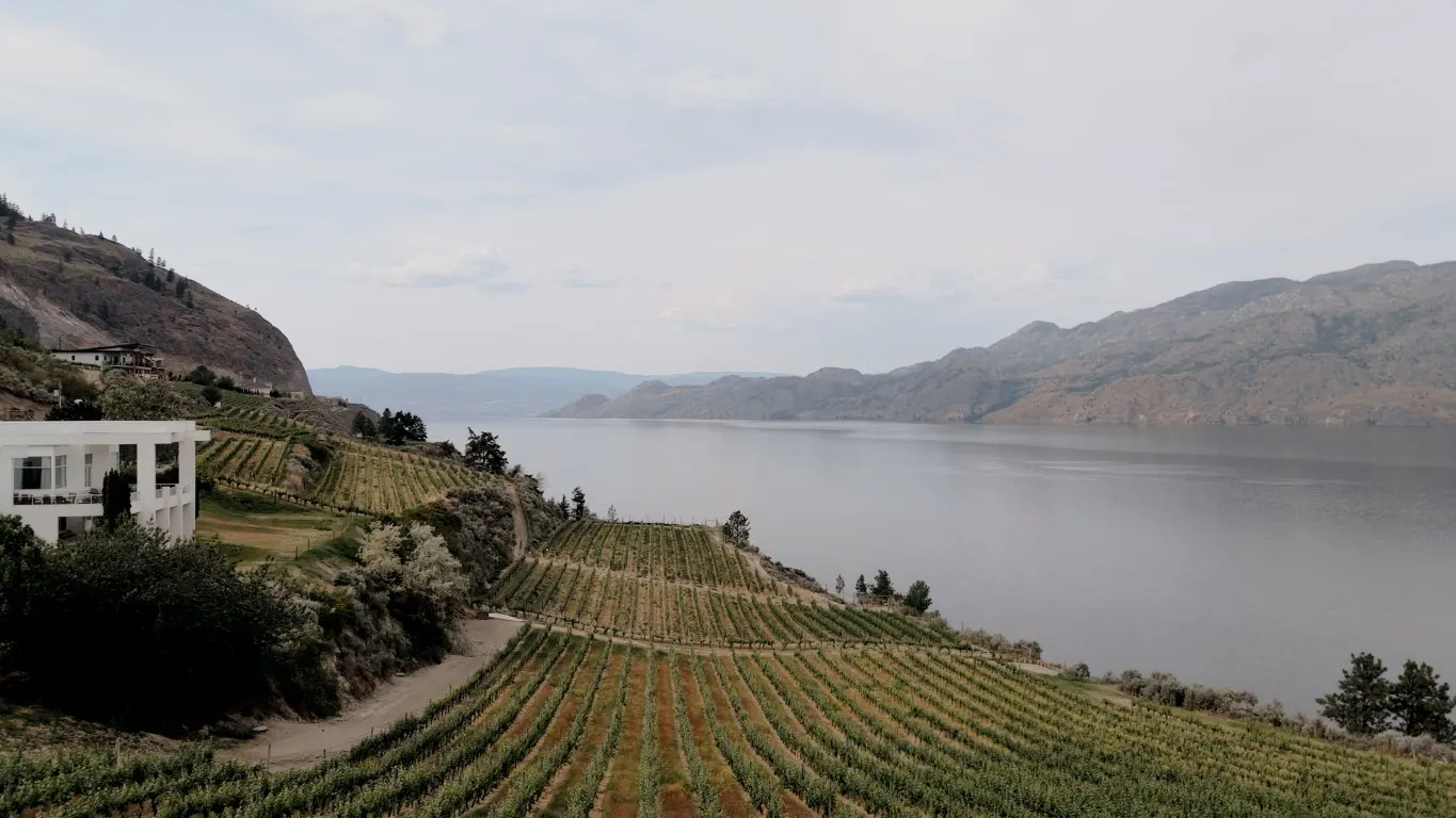 Wedding reception at Vows and Vines, Summerland