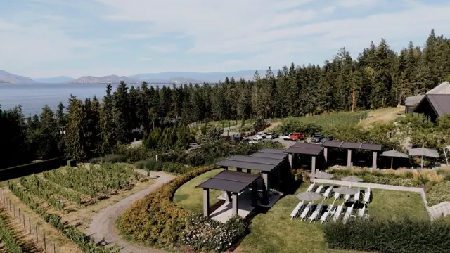 Aerial ceremony lawn: Quinn & Steve's wedding at CedarCreek Estate Winery, Kelowna. Still from the Pixel Pro wedding film.